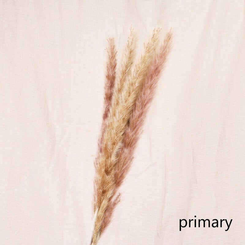 Reed Dried Flower Bouquet